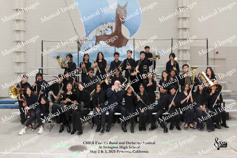 Musical Images